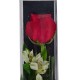 Elegant Single Rose Gift Box